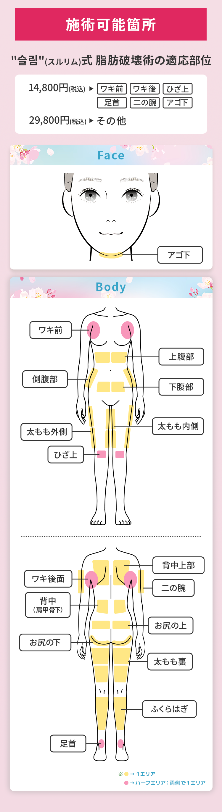 施術可能箇所